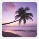Search for tree sunset stickers Vacation