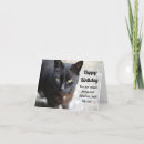 Search for black cat birthday cards Feline