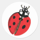Search for lady bug stickers Animal