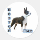 Search for boston terrier dad Breed
