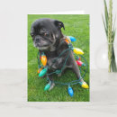 Search for tangled lights christmas cards Dog