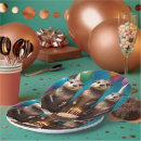 Search for otter plates Party