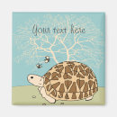 Search for tortoise magnets Turtle