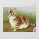 Search for vintage cat art postcards Victorian