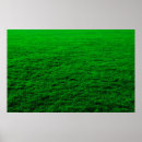 Search for grass posters Ground