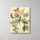 Search for animals canvas prints Flowers