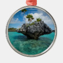 Search for fiji christmas tree decorations Blue