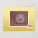 Search for i hate postcards I can has cheezburger