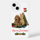 Search for kitten cases Funny