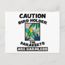 Search for budgie birthday cards Birds