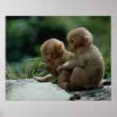 Search for wild side posters Full length
