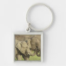 Search for indian elephant key rings Wildlife