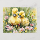 Search for duckling postcards Happy easter