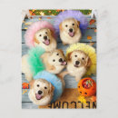 Search for trick or treat invitations Pets