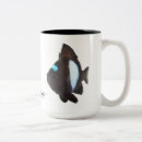 Search for damselfish Ocean