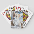Search for corgi playing cards Canine