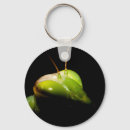 Search for mantis key rings Insect