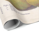 Search for pear wrapping paper Illustration
