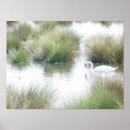 Search for wetland posters Nature photography