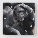 Search for scratching posters Cool
