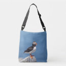 Search for atlantic bags Seabird