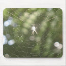 Search for web mousepads Spider
