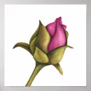 Search for best buds posters Nature