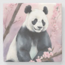 Search for panda bear coasters China