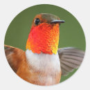 Search for flashing stickers Red