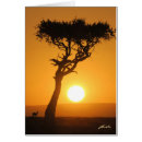 Search for masai cards Kenya