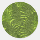 Search for ferns stickers Leaves