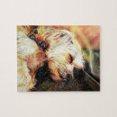 Search for cherub puzzles Cute