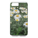 Search for shasta electronics Daisy