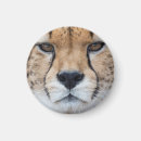 Search for big head magnets Face