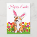 Search for cute easter postcards Bunny ears