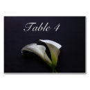 Search for lily table cards Bridal