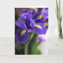 Search for blue iris cards Irises