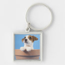Search for pot square key rings Nature