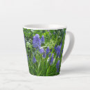 Search for grape hyacinth Muscari