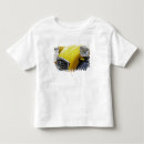 Search for 2cv clothing France