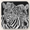 Search for zebra coasters White