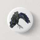 Search for black crow badges Animal