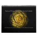 Search for five office supplies Photography