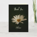 Search for bloom photo cards Flower