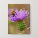 Search for flying bee badges Nature