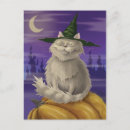 Search for vampire kitty Cat