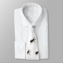 Search for stag ties Insect