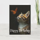 Search for fun cat birthday cards Animal