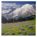 Search for national park tiles Landscape