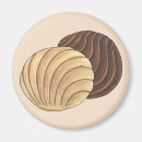 Search for pan magnets Mexican